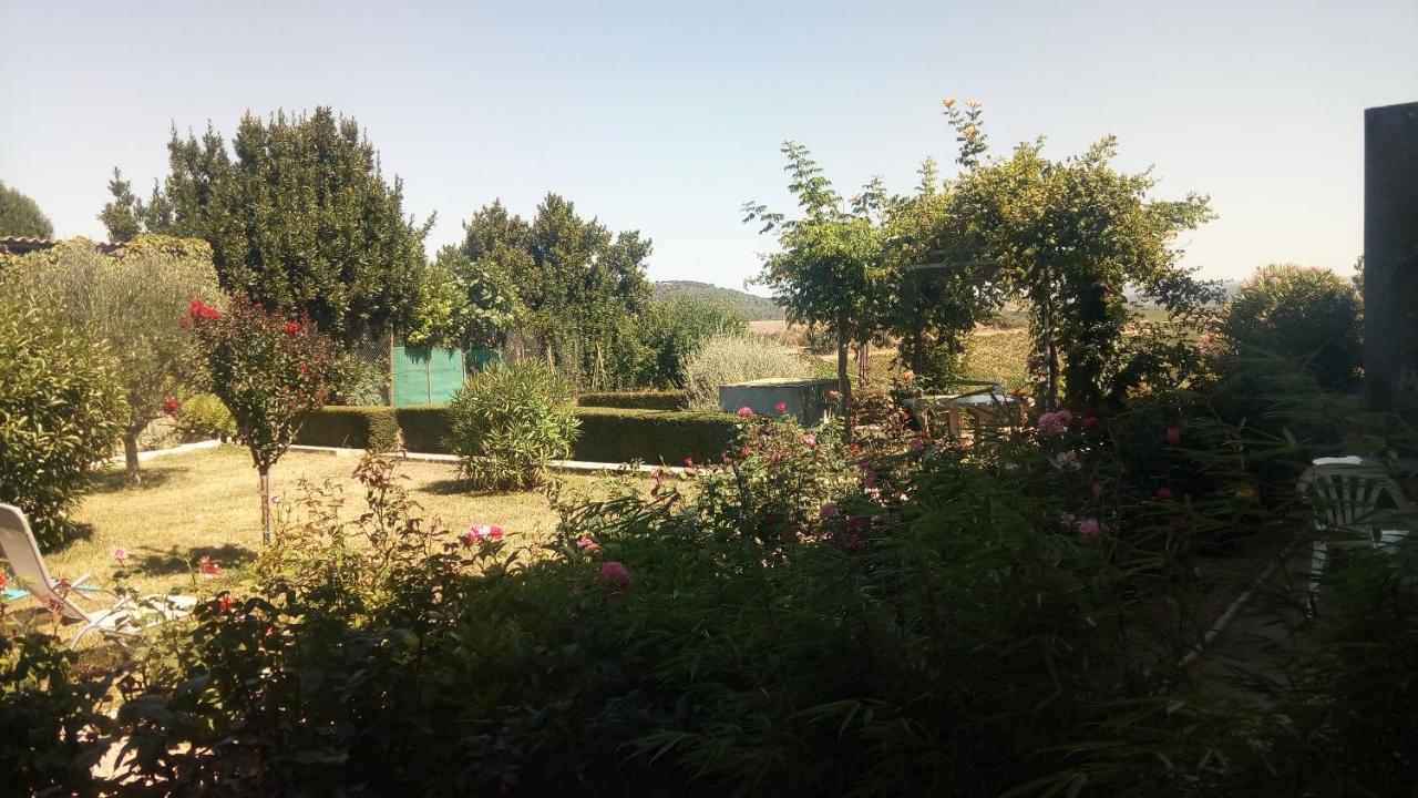 La Vigneronne Bed and Breakfast Villelongue-d'Aude Esterno foto